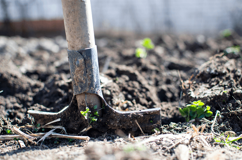 4 Tips for Home Security, Safety and Sanity When Planning Your Spring Landscaping